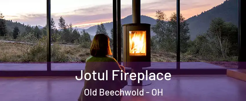 Jotul Fireplace Old Beechwold - OH