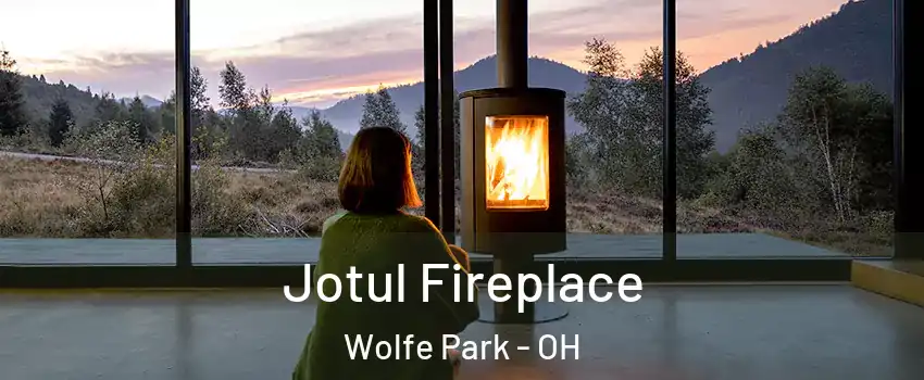 Jotul Fireplace Wolfe Park - OH