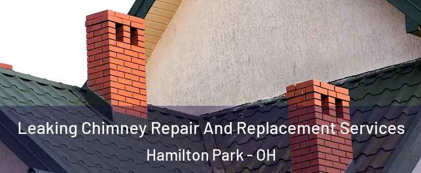 Leaking Chimney Repair And Replacement Services Hamilton Park - OH