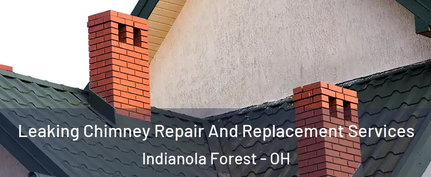 Leaking Chimney Repair And Replacement Services Indianola Forest - OH