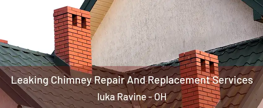 Leaking Chimney Repair And Replacement Services Iuka Ravine - OH