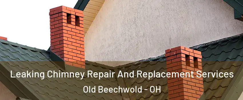 Leaking Chimney Repair And Replacement Services Old Beechwold - OH
