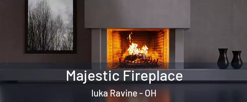 Majestic Fireplace Iuka Ravine - OH