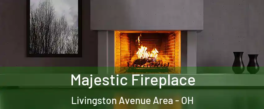 Majestic Fireplace Livingston Avenue Area - OH