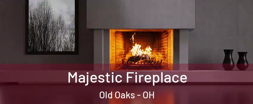 Majestic Fireplace Old Oaks - OH