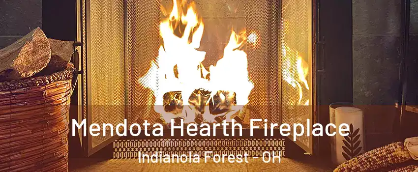 Mendota Hearth Fireplace Indianola Forest - OH