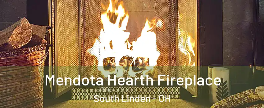 Mendota Hearth Fireplace South Linden - OH