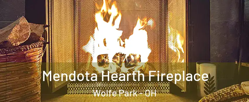 Mendota Hearth Fireplace Wolfe Park - OH