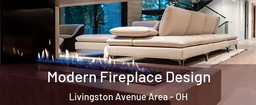 Modern Fireplace Design Livingston Avenue Area - OH