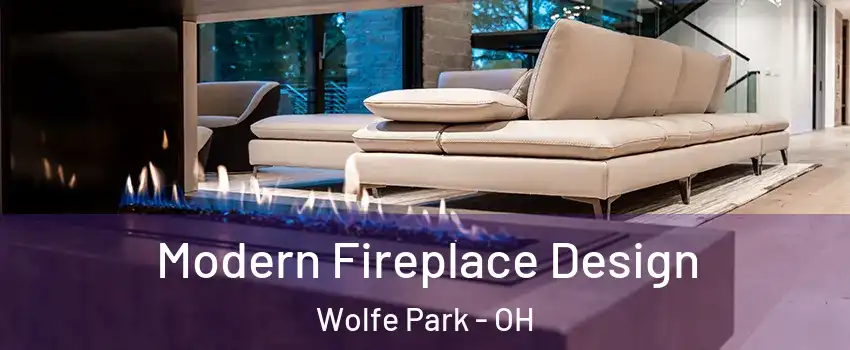 Modern Fireplace Design Wolfe Park - OH