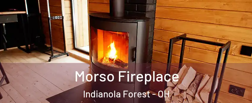 Morso Fireplace Indianola Forest - OH
