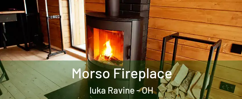 Morso Fireplace Iuka Ravine - OH