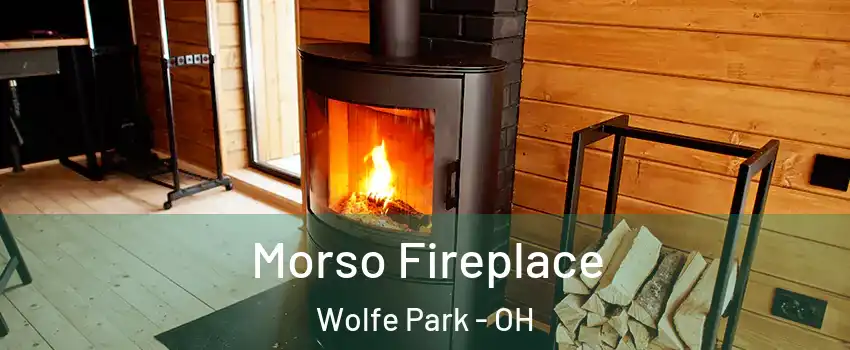 Morso Fireplace Wolfe Park - OH