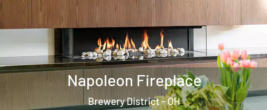 Napoleon Fireplace Brewery District - OH