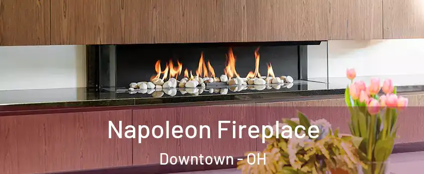 Napoleon Fireplace Downtown - OH