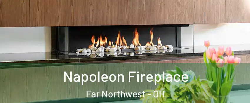 Napoleon Fireplace Far Northwest - OH