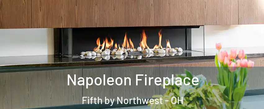 Napoleon Fireplace Fifth by Northwest - OH
