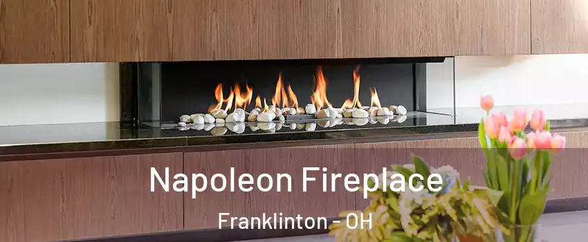 Napoleon Fireplace Franklinton - OH