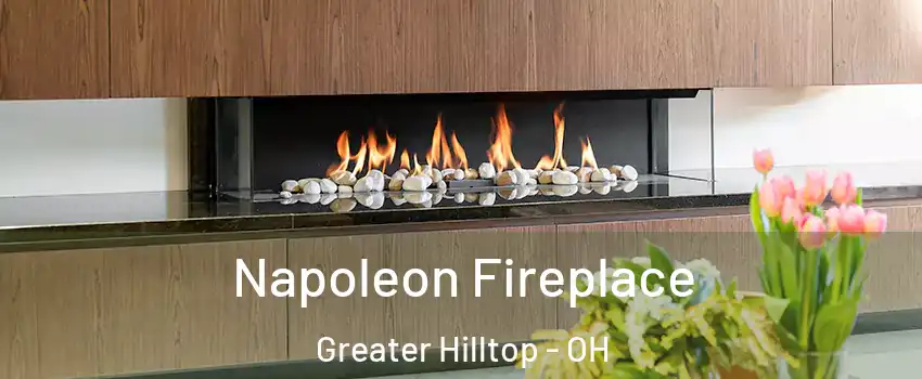 Napoleon Fireplace Greater Hilltop - OH