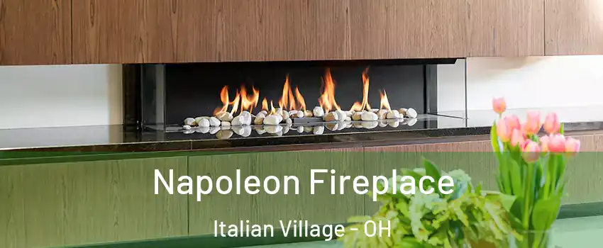 Napoleon Fireplace Italian Village - OH