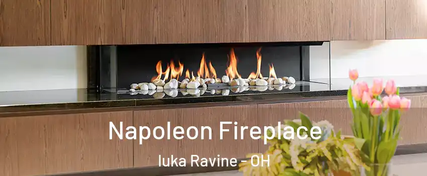 Napoleon Fireplace Iuka Ravine - OH