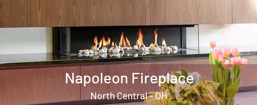Napoleon Fireplace North Central - OH