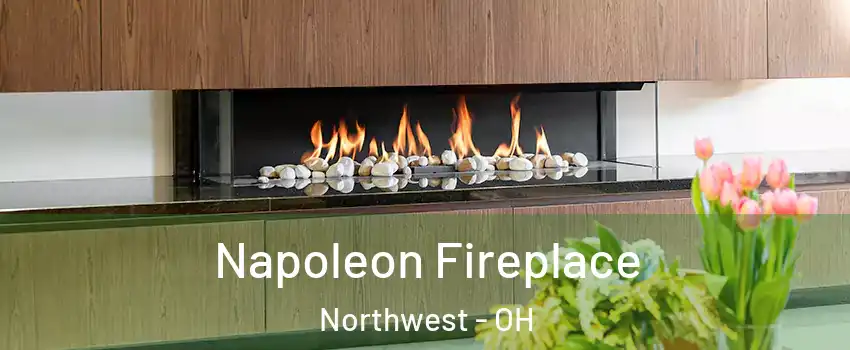 Napoleon Fireplace Northwest - OH
