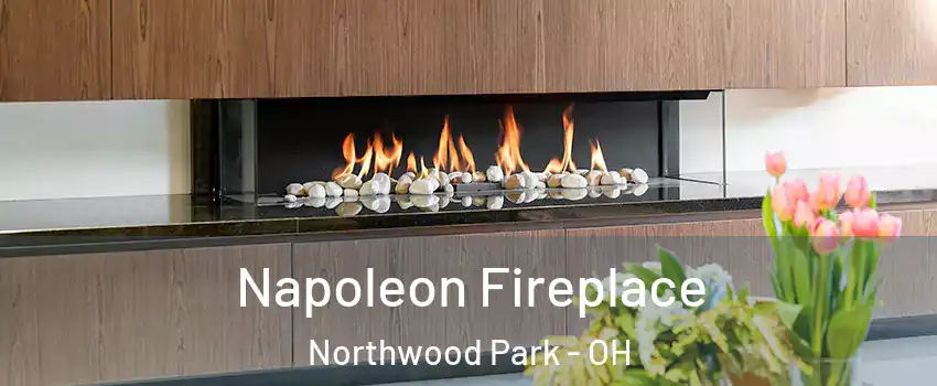 Napoleon Fireplace Northwood Park - OH