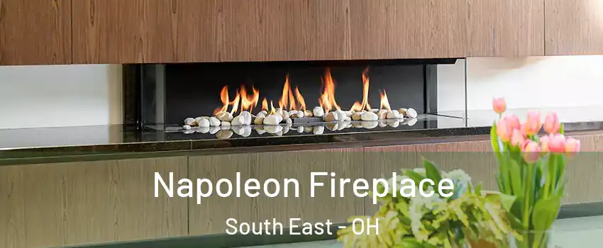 Napoleon Fireplace South East - OH