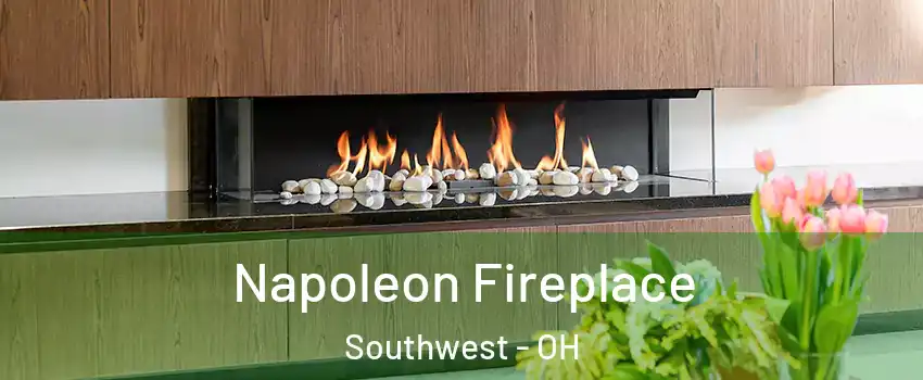 Napoleon Fireplace Southwest - OH