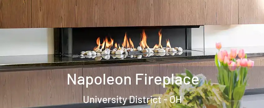 Napoleon Fireplace University District - OH