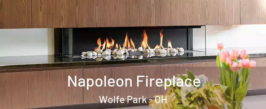 Napoleon Fireplace Wolfe Park - OH