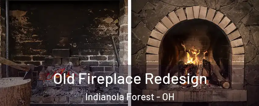 Old Fireplace Redesign Indianola Forest - OH