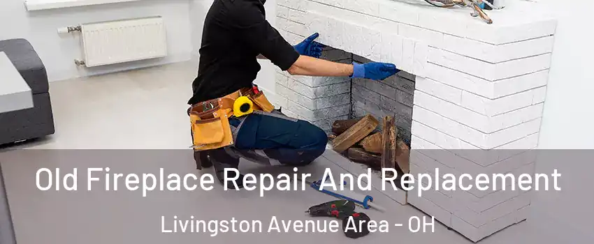 Old Fireplace Repair And Replacement Livingston Avenue Area - OH