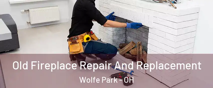 Old Fireplace Repair And Replacement Wolfe Park - OH