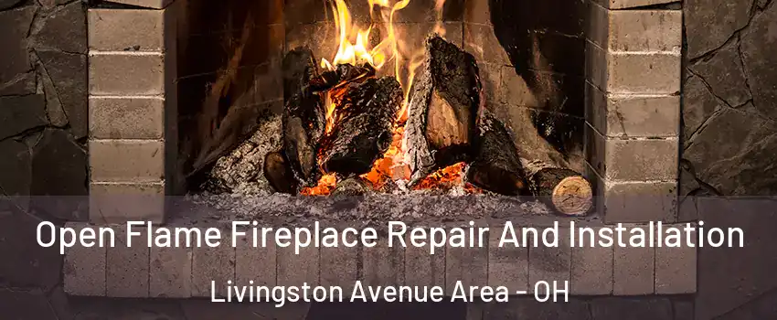 Open Flame Fireplace Repair And Installation Livingston Avenue Area - OH