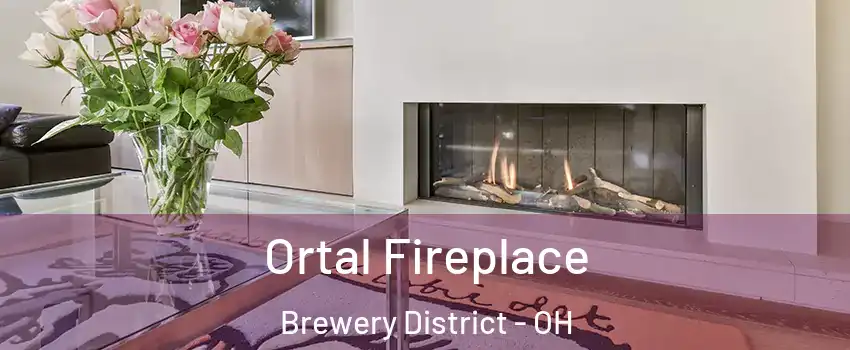 Ortal Fireplace Brewery District - OH