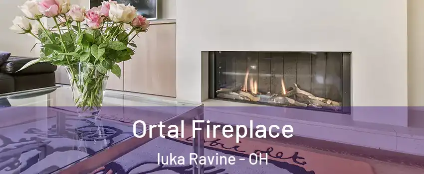 Ortal Fireplace Iuka Ravine - OH