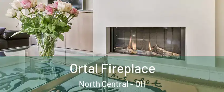 Ortal Fireplace North Central - OH