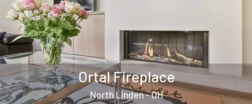 Ortal Fireplace North Linden - OH
