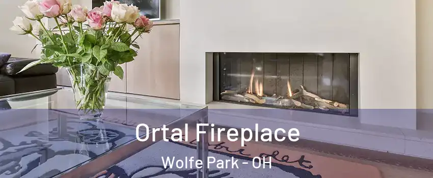 Ortal Fireplace Wolfe Park - OH