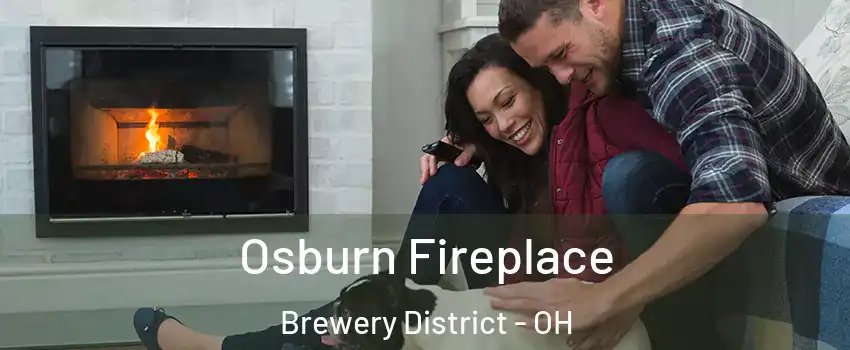 Osburn Fireplace Brewery District - OH