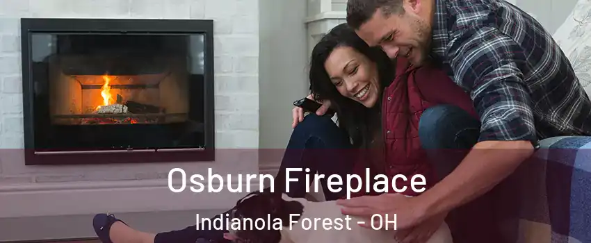 Osburn Fireplace Indianola Forest - OH