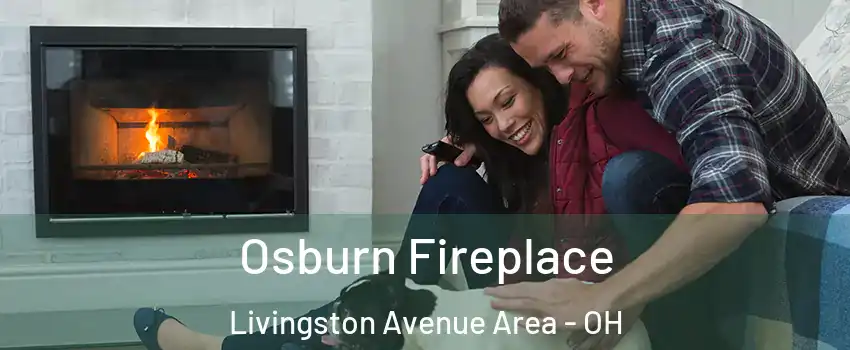 Osburn Fireplace Livingston Avenue Area - OH