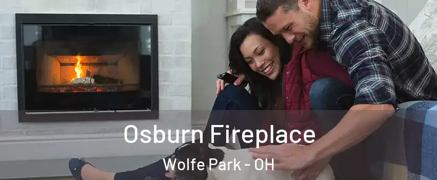 Osburn Fireplace Wolfe Park - OH