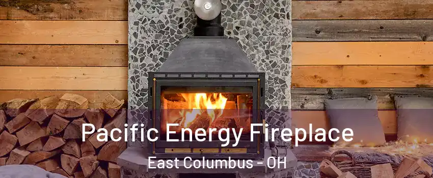 Pacific Energy Fireplace East Columbus - OH