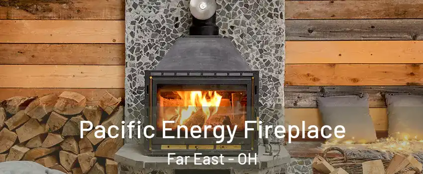 Pacific Energy Fireplace Far East - OH