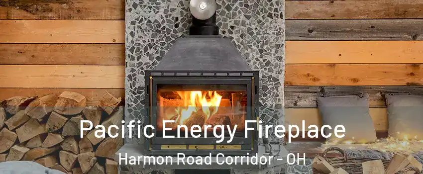 Pacific Energy Fireplace Harmon Road Corridor - OH