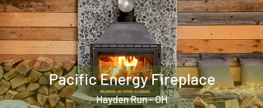 Pacific Energy Fireplace Hayden Run - OH