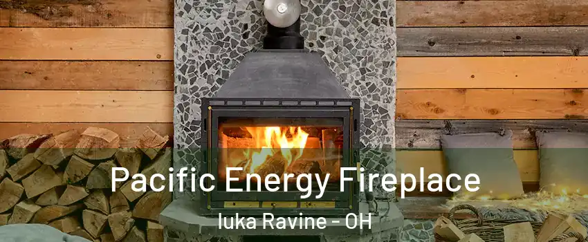 Pacific Energy Fireplace Iuka Ravine - OH
